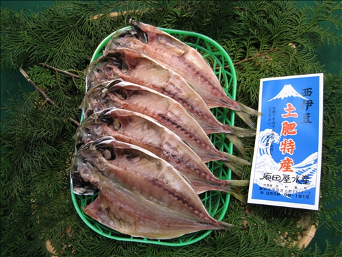国内あじ