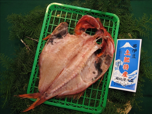 特大金目