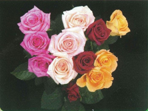バラの花束