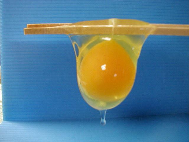 君(黄味)を、絶対離さない!