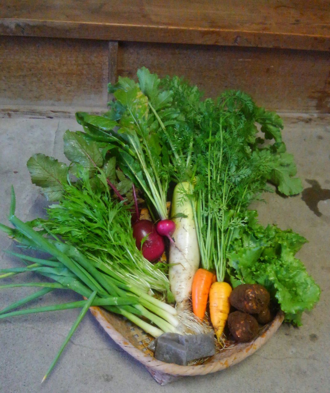 野菜詰め合わせ (写真はイメージ)