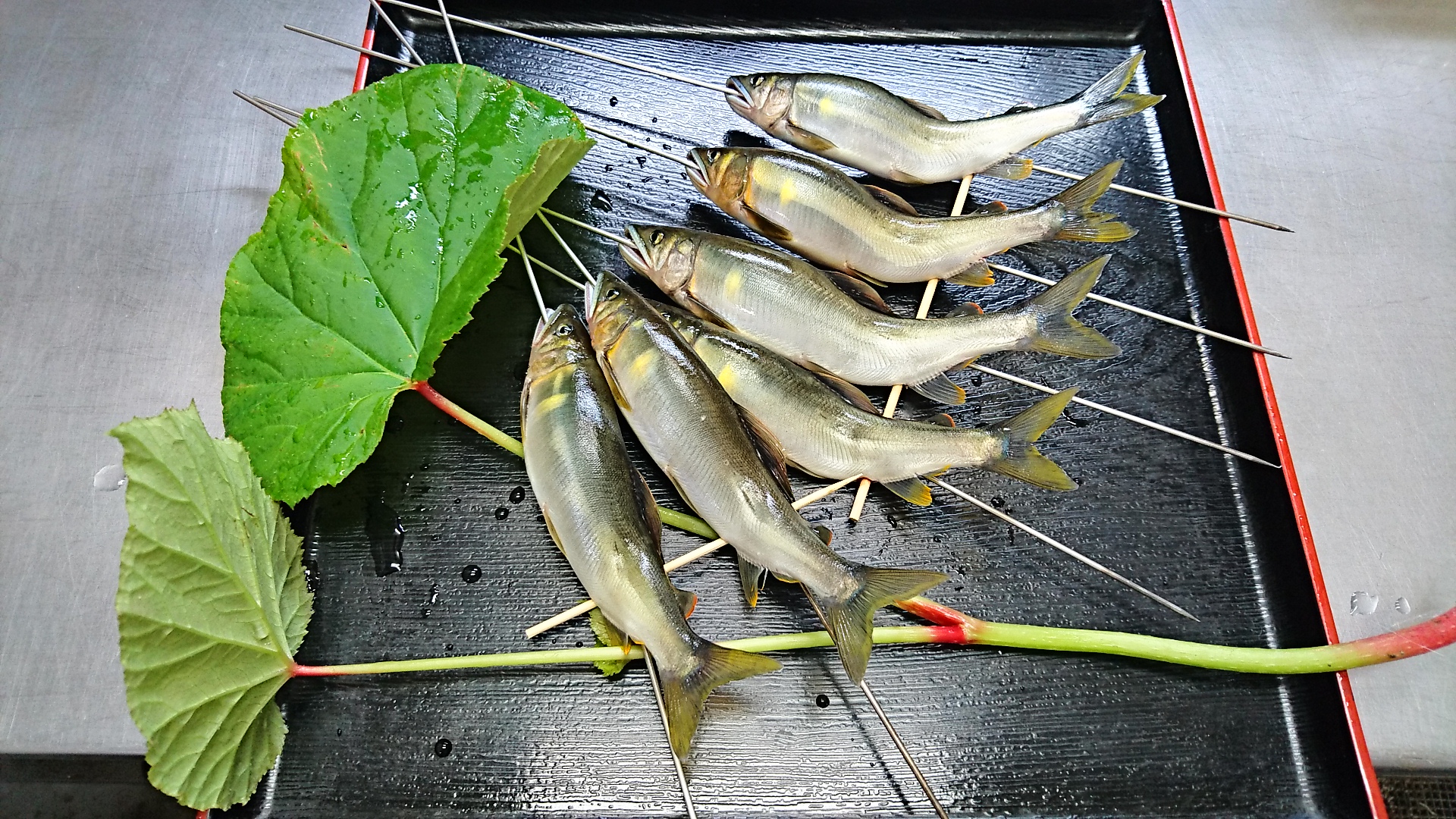 解禁鮎
